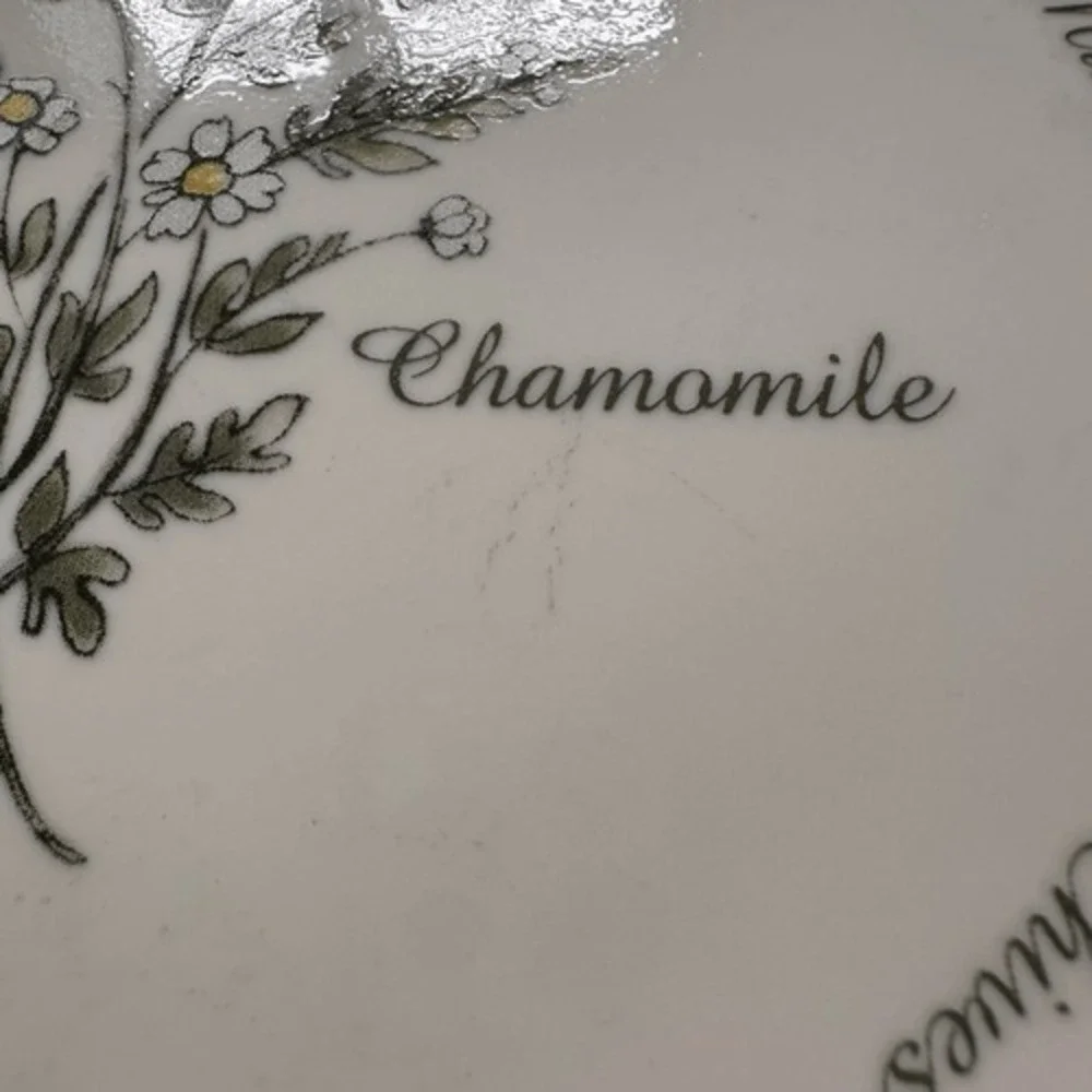Corelle Thymeless Herbs Collection  Set of 2 Chamomile Salad Plates 8 1/2